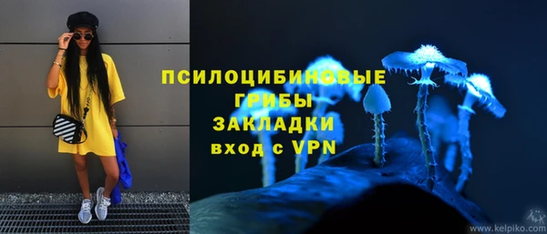 spice Лиски