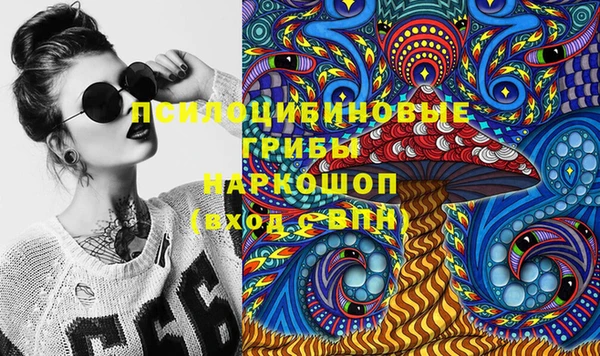 spice Лиски